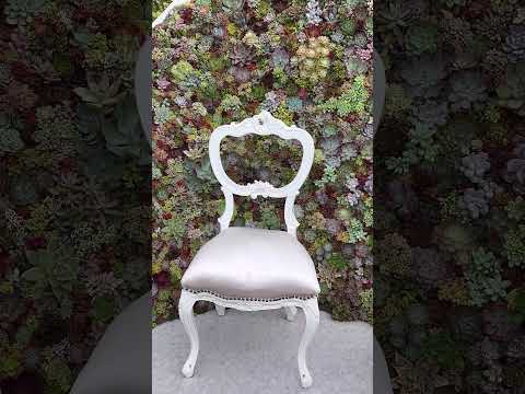 多肉植物を屋外に植える時期はいつですか?それらをうまく植えて維持するにはどうすればよいでしょうか？  庭園