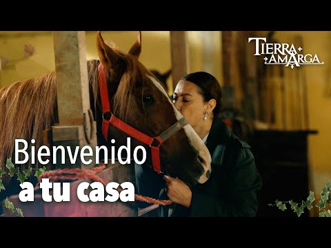 Hünkar recuperó su caballo - Capítulo 56
