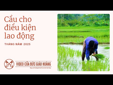 Ý cầu nguyện tháng 05/2025: Cầu nguyện cho điều kiện lao động