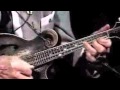 Bill Monroe - "Sally Goodin"