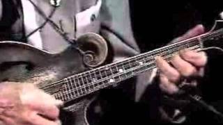Bill Monroe - "Sally Goodin"