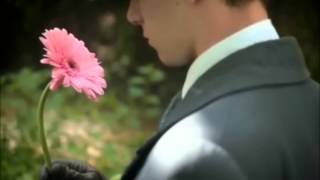 The Jasmine Minks-Ghost Of A Young Man