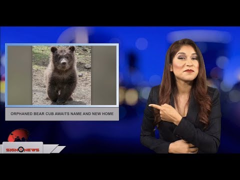 Sign1News 6.13.18 - News for the deaf community powered by CNN in American Sign Language (ASL).