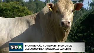 Miniatura do vídeo