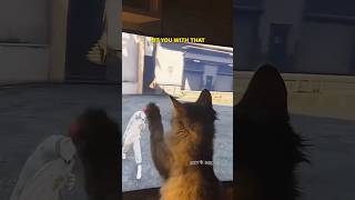 Grand Theft Gato Trash Talk 😹