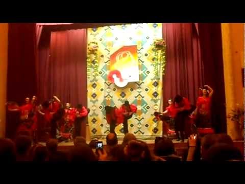 Ansamblul STRUGURAS "USM" - Dans Tiganesc