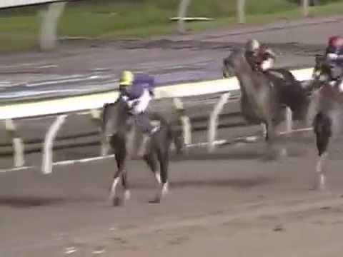 Furioso -  G1 Japan Dirt Derby 2007 (1st)
