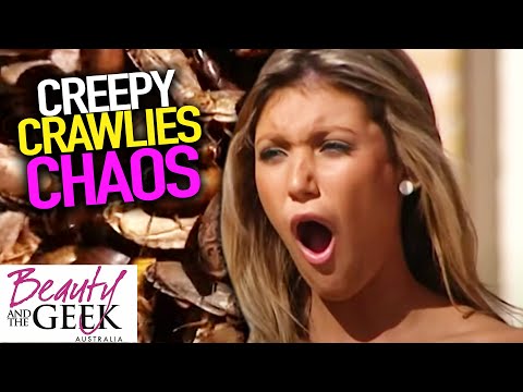 Bug BONANZA | Beauty and the Geek Australia | S02E02 | Full Episodes