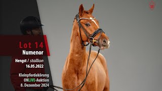 Video von Never stop Dancing