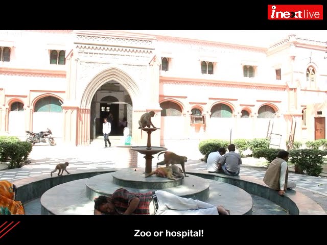 S N Medical College Agra видео №1