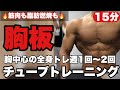 【15分】チューブトレーニングで胸強化の全身筋トレ!1ヶ月やれば体が変わる