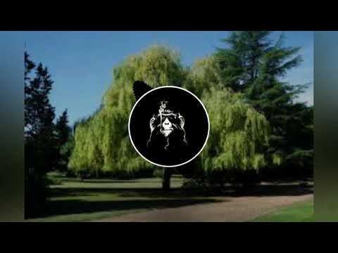 SaxyGyal x Malcom 987