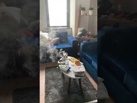 Insecticidal Smoke Bomb