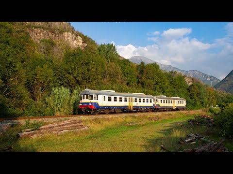 ALn 668 canavesane 1/2