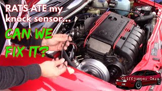 Can We Fix A Knock Sensor Chewed By RATS???