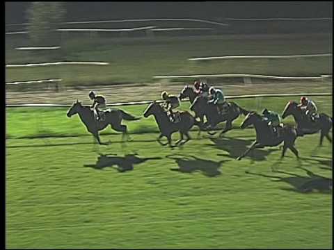 Galoppo 27/07/2016 - 5° corsa