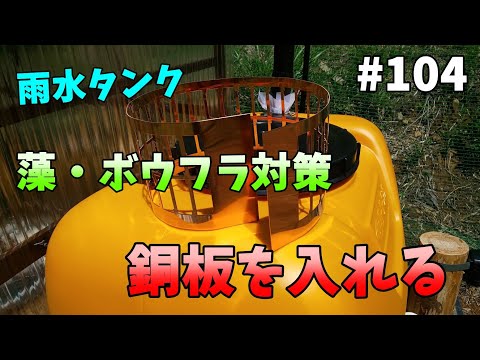 無料で植物に水をまく、バルコニー雨水コレクターの DIY アイデア 5 つ  庭園