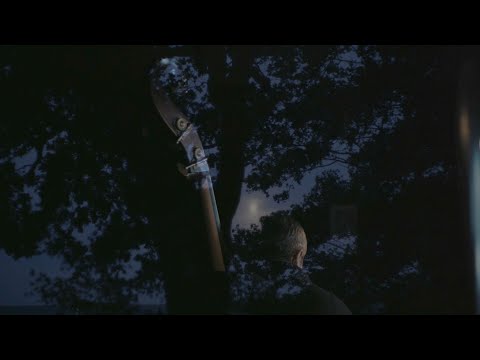 Thomas Morgan: Around You Is A Forest (Official Video)