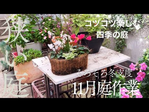 丈夫な柚子は何ですか