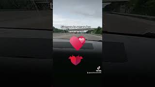 siempre te amare los temerarios