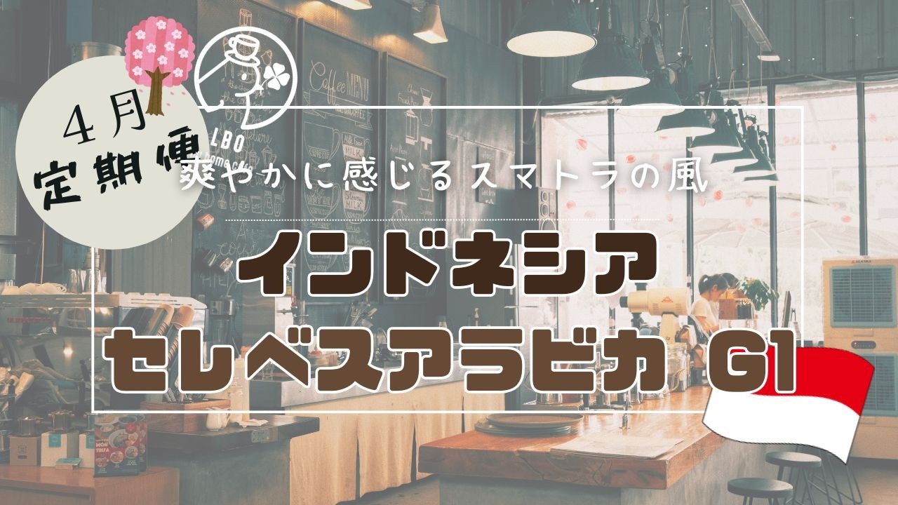 【お得情報！？】独特な処理方法でできたコーヒー豆！これは癖になる以外はない！！！