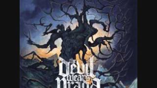 the devil wears prada - big wiggly style