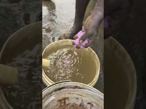 Fertigation of NPK 19 19 19 through drip irrigation #farming #agriequipments #vegetablecultivation