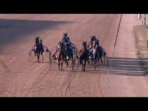 2019.12.31. 01. futam - GAZDASÁGI EGYETEM - NYERETLENEK VERSENYE