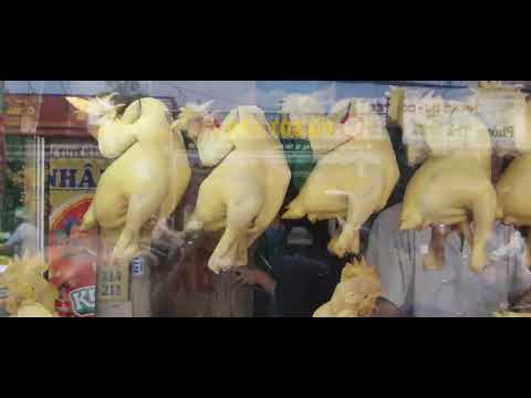 GÀ CÚNG ĐẦU NĂM