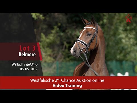Westfälische 2nd Chance Auction - 12. bis 16. November - Nr. 3 Belmore