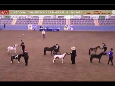 Miniature Horse Championships of Australia