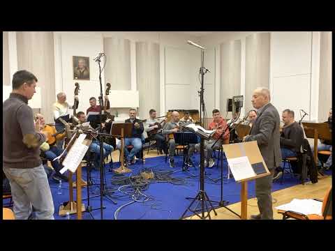 Raša Pavlović -  Znaš li da te duša sanja (Audio)