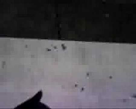 Psybient Day - Jah Acid Dub