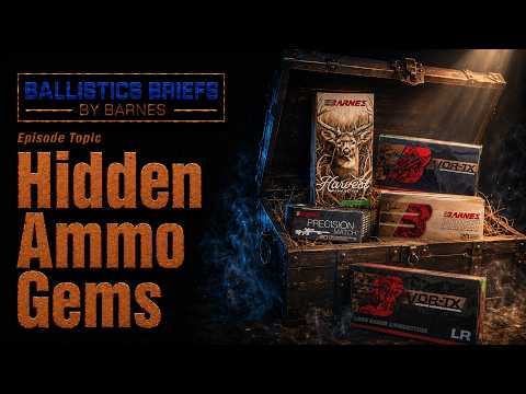BARNES BULLETS