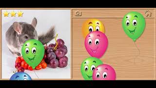 🐹🐰 13 Pet Jigsaw Puzzles - Animals Puzzles for Kids Walkthrough