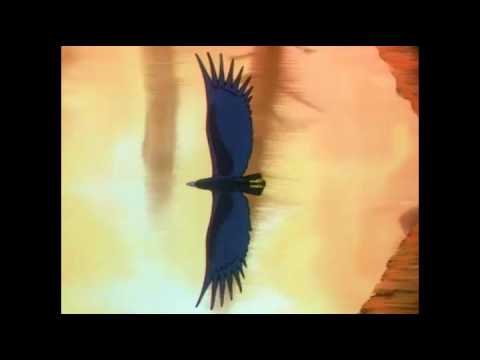 Nils Holgersson - Gorgo