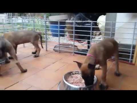 Ohne Mampf kein Kampf ;)