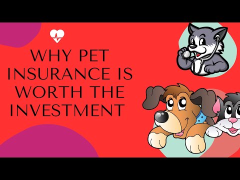 , title : 'Why Pet Insurance is Worth the Investment 🐶 Best Pet Insurance Tips 🐶'