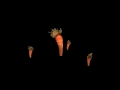 Carrot Dance