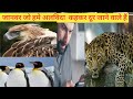 Vilupt Hone Wale Janwar विलुप्त Wildlife Viralvideo