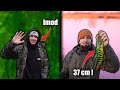 KARPIE Z IMODEM SZCZUPAKI Na PRZYNĘTE 400 Gramów