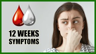 12 Weeks Pregnant Symptoms – Baby Size in Womb and Baby Movement