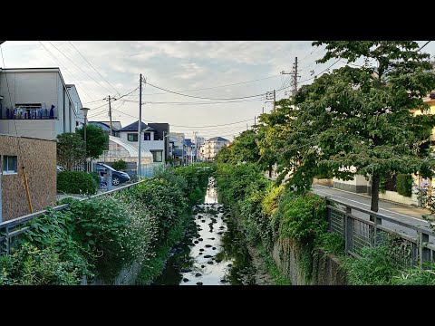 4K Tokyo Walk - Following a Random River from Yoga to Kaminoge