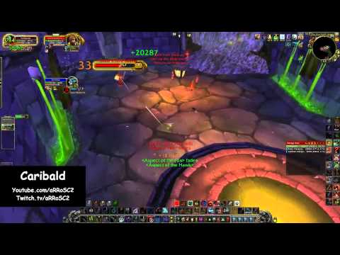 World first hunter solo: CaribaLd vs Grand Widow Faerlina (25 man)