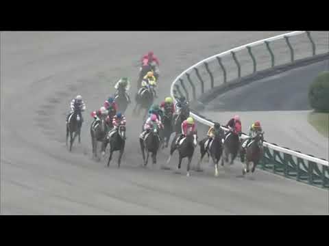 2021.10.31 2yo Newcomer (JPN) - Peisha Es