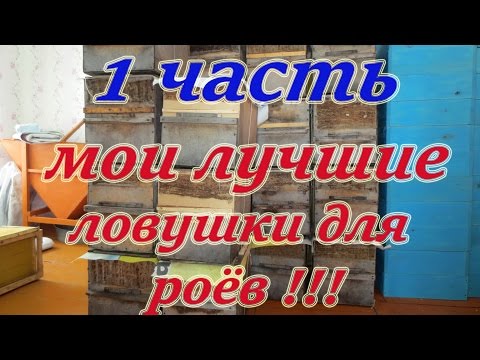 1 часть. МОИ УЛОВИСТЫЕ ЛОВУШКИ ДЛЯ НАЧИНАЮЩИХ ПЧЕЛОВОДОВ, КАК ЗАВЕСТИ ПЧЁЛ. Beekeeping🔥🔥🔥.