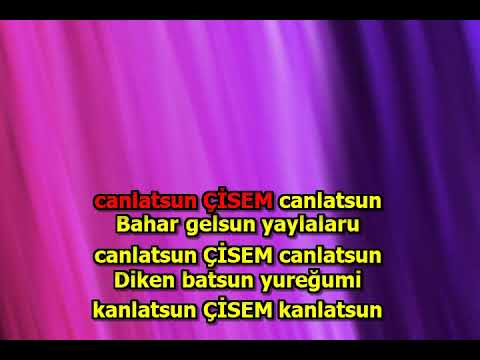 ÇİSEM  EROL ŞAHİN LA KARAR