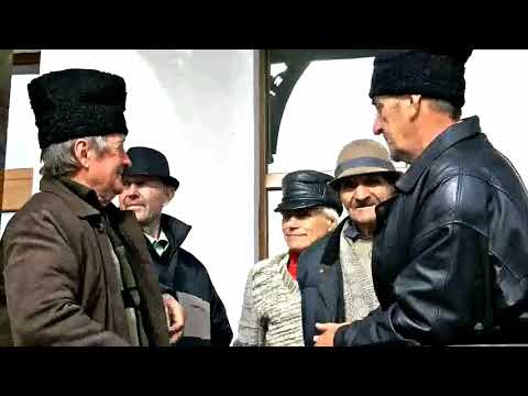 Caminul Cultural Rotunda   PRIMARIA LITENI 2013