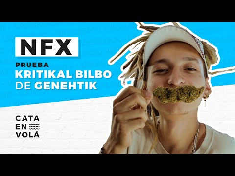 CATA EN VOLÁ: NFX | KRITICAL BILBO DE GENEHTIK