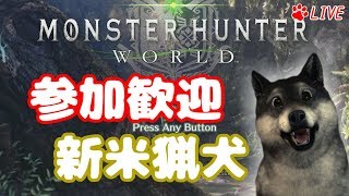 【バーチャル犬】HR:11　猟犬になりたい！【モンハンワールド】１